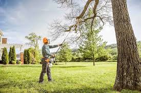 Best Tree Maintenance Programs  in Dyer, IN