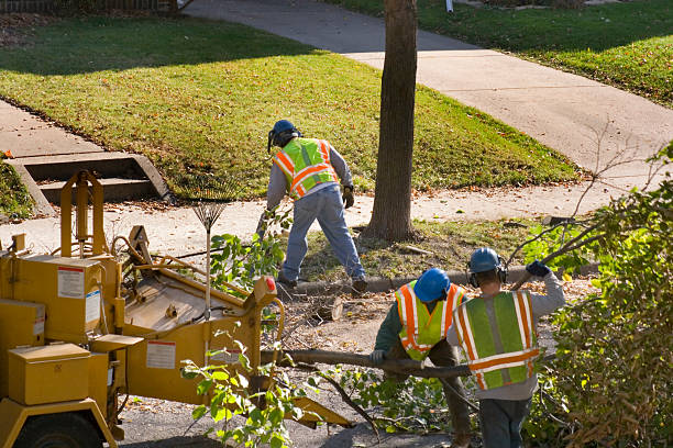 Best Emergency Tree Removal  in Dyer, IN